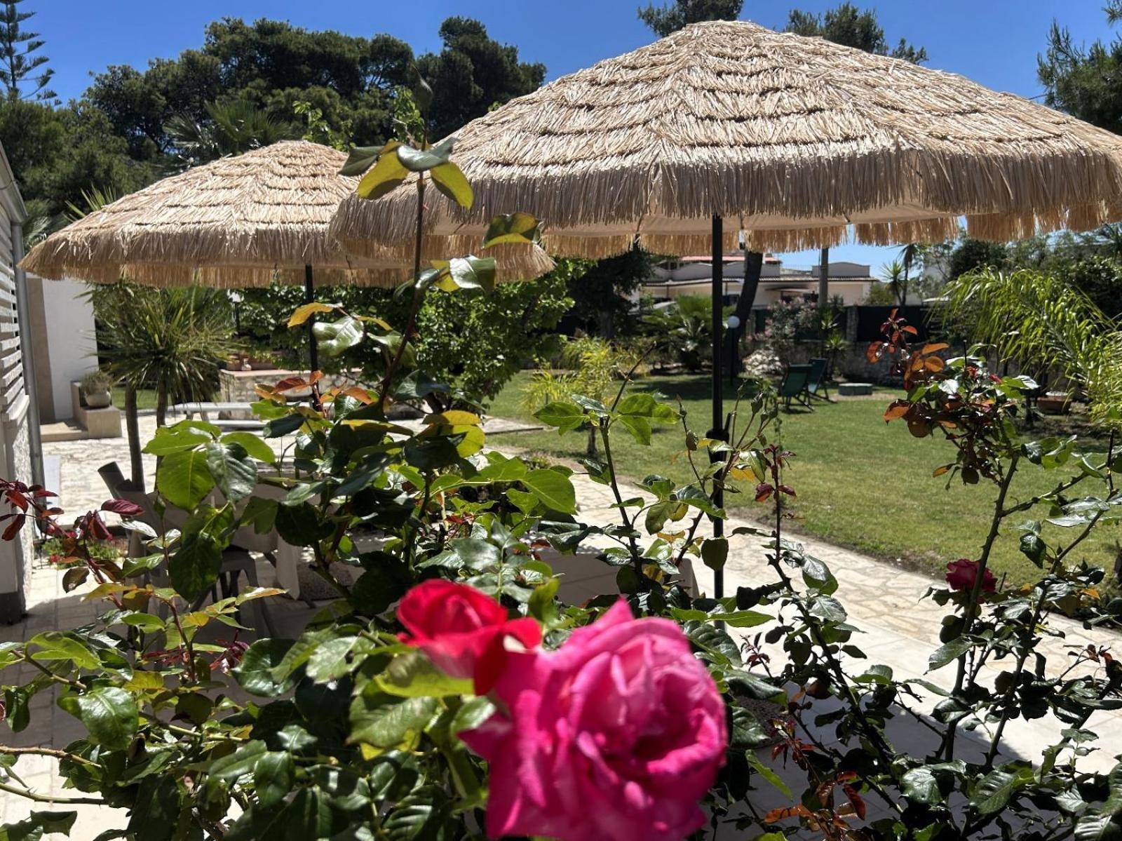 Villa Soleanna Residence Vieste Eksteriør bilde
